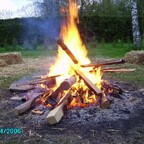 Angasen 2006 Nr 1