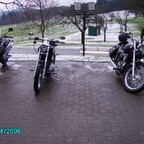 Angasen 2006 Nr 1