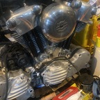 Meine augenblicklichen 3 Sportster Projekte