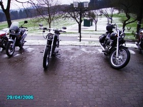 Angasen 2006 Nr 1